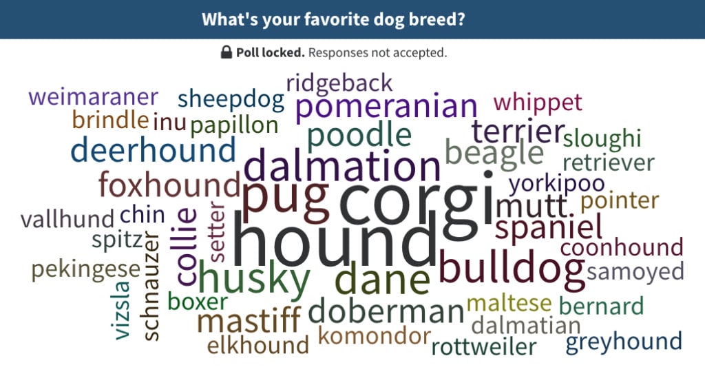 word-cloud-dog-breed-poll