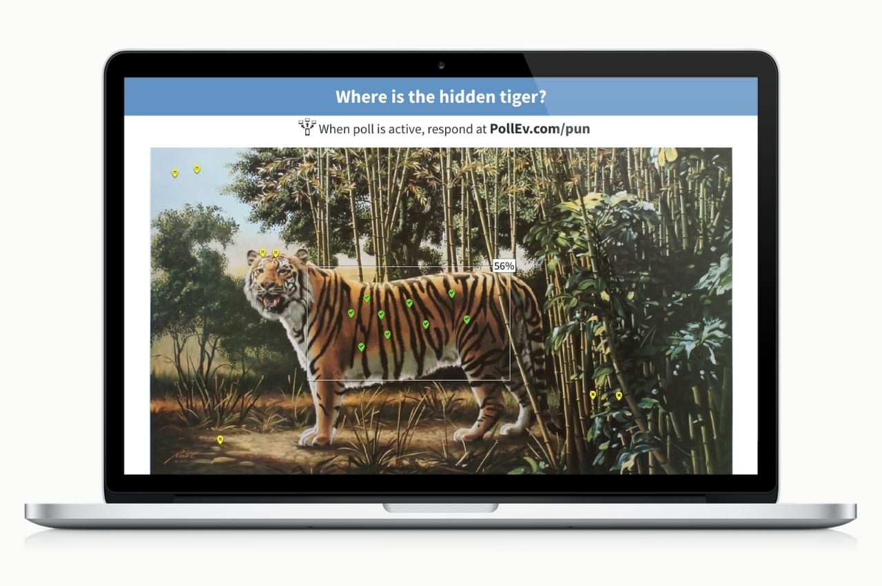 Poll: Where is the hidden tiger?