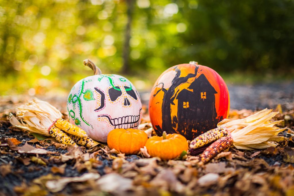 decorated-pumpkins-for-halloween