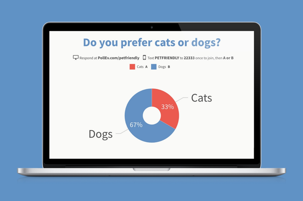Do you prefer cats or dogs? poll with donut charts
