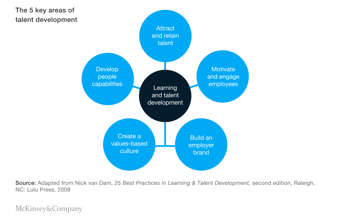 An image showing the fives key areas of talent development.