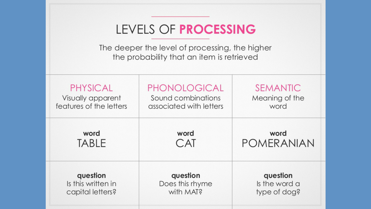 Use neuroscience to create an effective presentation – Poll Everywhere